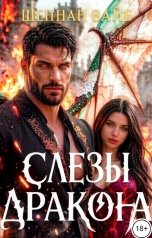 обложка книги Шеннан Вайб "Слезы дракона"