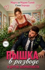 обложка книги Саня Борода, Марта и Мария Галей "Пышка в разводе и другие неприятности"