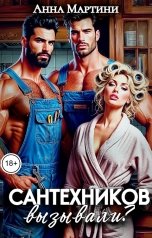 обложка книги Анна Мартини "Сантехников вызывали?"