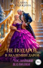 обложка книги Елена Княжина "Не подарок в Академии даров. Последняя иллюзия"