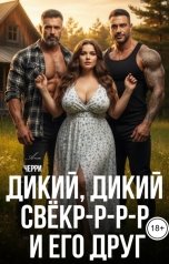 обложка книги Ана Черри "Дикий, дикий свёкр-р-р-р и его друг"
