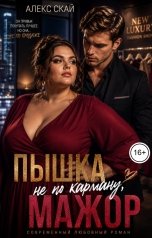 обложка книги Алекс Скай "Пышка не по карману, мажор"