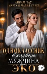 обложка книги Саня Борода, Марта и Мария Галей "Одноклассник в разводе. Мужчина для ЭКО"