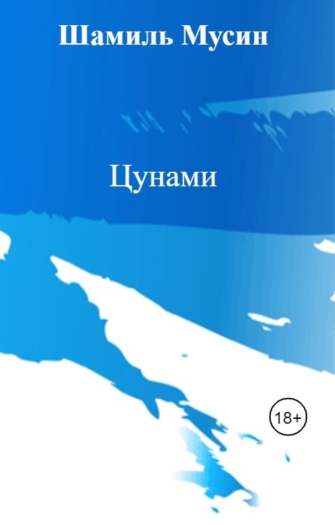 Обложка книги Шамиль Мусин Цунами