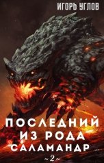 обложка книги Игорь Углов "Последний из рода Саламандр - 2. Земли Адохира"