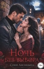 обложка книги Соня Лисицына "Ночь без выбора"