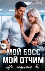 обложка книги Вета Солло "Мой босс - мой отчим. Не сгореть бы"