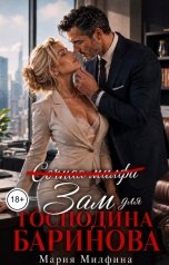 обложка книги Мария Милфина "Зам для господина Баринова"