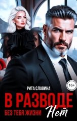 обложка книги Рита Славина "В разводе. Без тебя жизни нет"