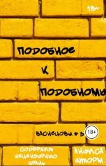 обложка книги Анфиса Шторм "Подобное к подобному"