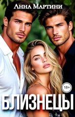 обложка книги Анна Мартини "Близнецы"