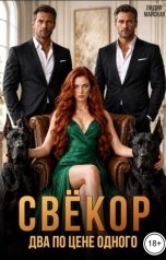 обложка книги Лидия Майская "Свёкор. Два по цене одного"