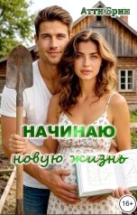 обложка книги Атти Брин "Начинаю новую жизнь"