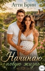 обложка книги Атти Брин "Начинаю новую жизнь"