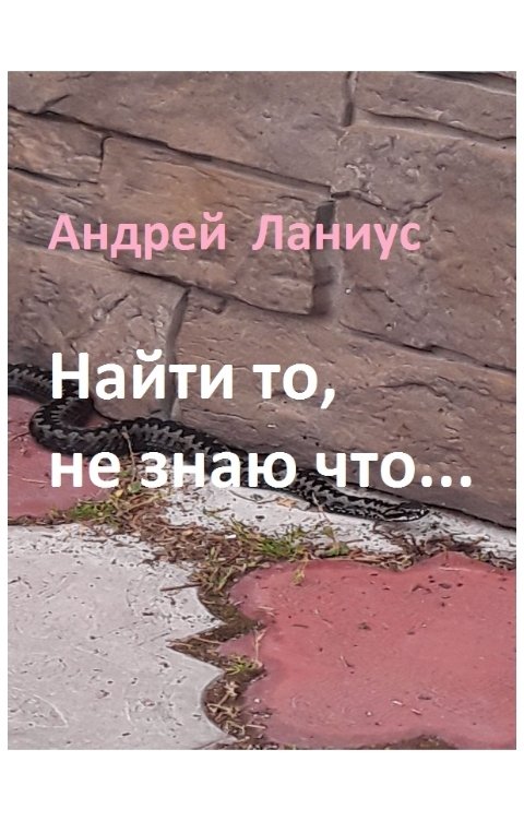 Обложка книги Андрей Ланиус Найти то,не знаю что...