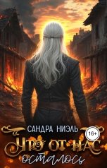 обложка книги Сандра Ниэль "Что от нас осталось"