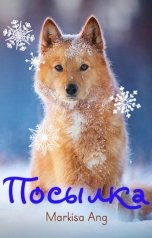 обложка книги Markisa Ang "Посылка"