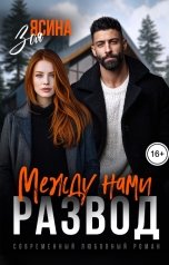 обложка книги Зоя Ясина "Между нами развод"