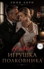 обложка книги Энни Бирн "Новая игрушка полковника"