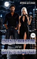 обложка книги Ирина Штефан "Однажды в тёмном переулке, или Как я встретил вашу маму"