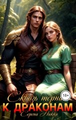 обложка книги Серена Никки "Сквозь тернии к драконам"
