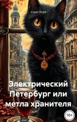 обложка книги Елена Пьерр "Электрический Петербург или метла хранителя"