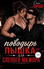 обложка книги Саня Борода "Поводырь пышка для слепого мажора"