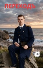 обложка книги alexfirsoff83 "Переход"