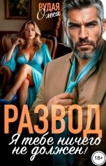 обложка книги Олеся Рудая "Развод. Я тебе ничего не должен!"