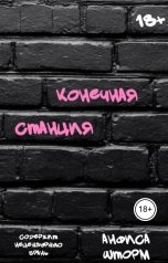 обложка книги Анфиса Шторм "Конечная станция"
