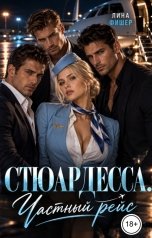 обложка книги Лина Фишер "Стюардесса. Частный рейс"
