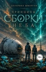 обложка книги Катерина Шморгун "Принципы сборки неба"