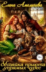 обложка книги Елена Амеличева "Хозяйка приюта упрямых чудес"