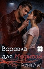 обложка книги Ария Лэй "Воровка для Мафиози"