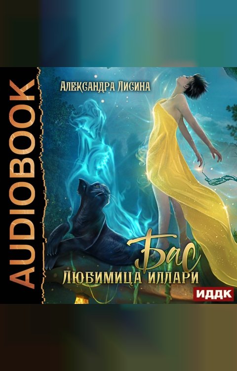 Обложка книги ИДДК Бас. Любимица Иллари