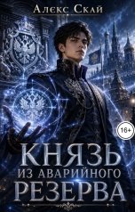 обложка книги Алекс Скай "Князь из аварийного резерва"