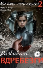 обложка книги Надя Смирнова "Мы всего лишь осколки: Разбиваясь вдребезги"