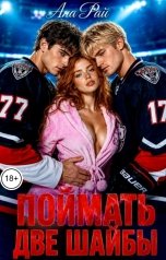 обложка книги Ана Рай "Поймать две шайбы"