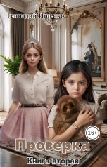 обложка книги Ищенко Геннадий "Проверка 2"