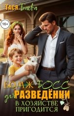обложка книги Тася Баева "Бывшие. Бо(мж)сс для разведёнки: в хозяйстве пригодится"