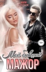 обложка книги Мари Голдберг "Мой бывший мажор"