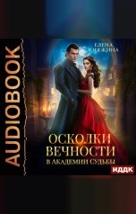 обложка книги Княжина Елена "Осколки вечности в Академии Судьбы"