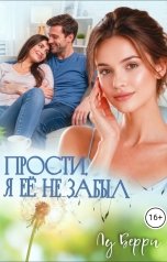 обложка книги Лу Берри "Прости, я её не забыл"