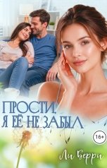 обложка книги Лу Берри "Прости, я её не забыл"