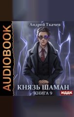 обложка книги Ткачев Андрей "Князь шаман. Книга 9"