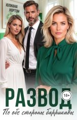 обложка книги Юлиана Нортон "Развод. По обе стороны баррикады"