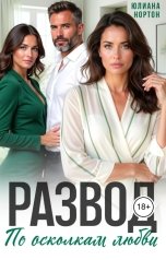 обложка книги Юлиана Нортон "Развод. По осколкам любви"