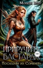 обложка книги Морвейн Ветер "Приручить бастарда. 2. Лагерь чужака"