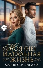 обложка книги Мария Серебрякова "Моя (не) идеальная жизнь"