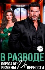 обложка книги Карина Ли "В разводе. От измены до верности"